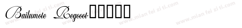Bailumote Regooot字体转换